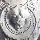 Click para ampliar. Cabeza de lobo de la Alcudia de Elche